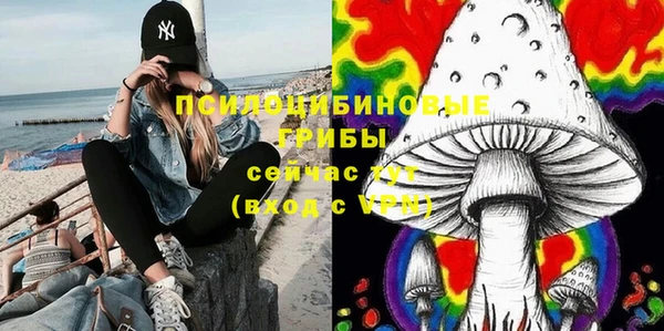 Альфа ПВП Аркадак