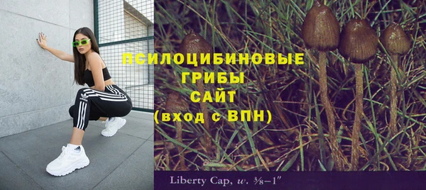 МДПВ Арсеньев