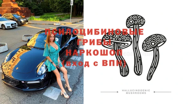 соль ск Балахна