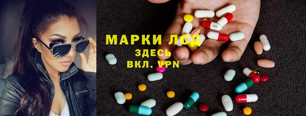Альфа ПВП Аркадак