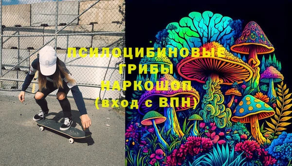 гидра Армянск