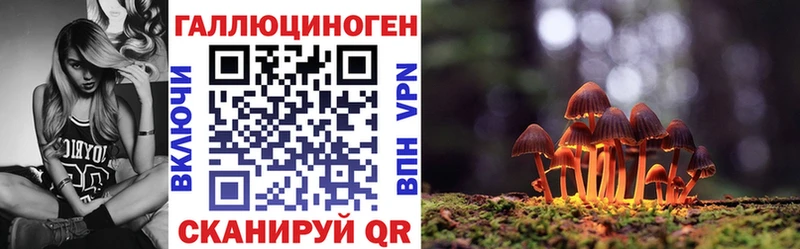 Галлюциногенные грибы MAGIC MUSHROOMS  где купить наркоту  Новомосковск 