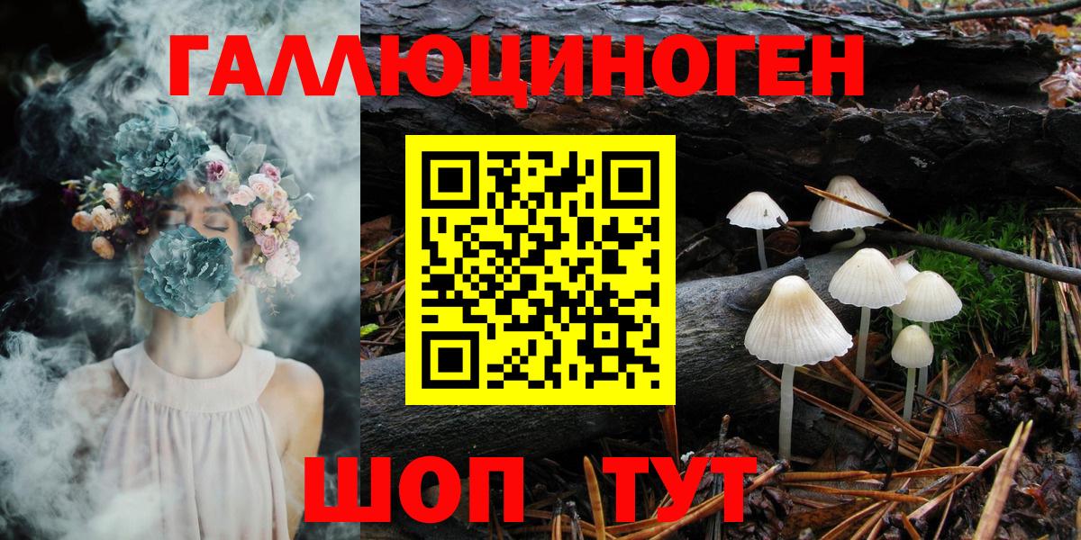 Псилоцибиновые грибы MAGIC MUSHROOMS  Вход с VPN  Новомосковск 